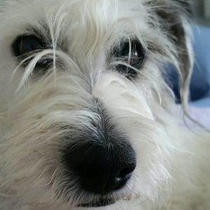 Meet your Posher, Ann